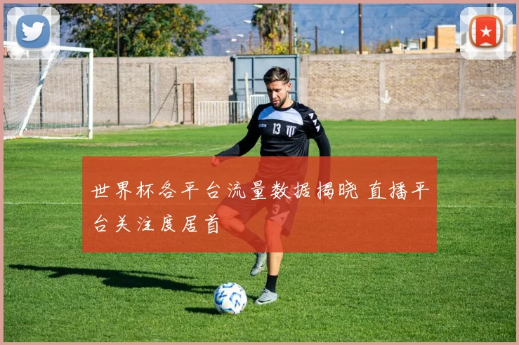 世界杯各平台流量数据揭晓 直播平台关注度居首