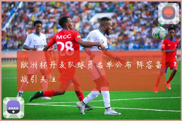 欧洲杯丹麦队球员名单公布 阵容备战引关注