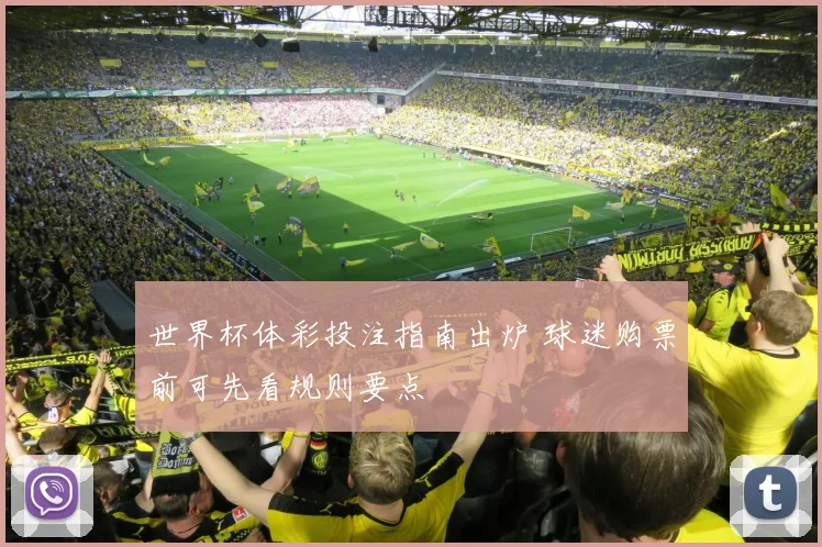 世界杯体彩投注指南出炉 球迷购票前可先看规则要点