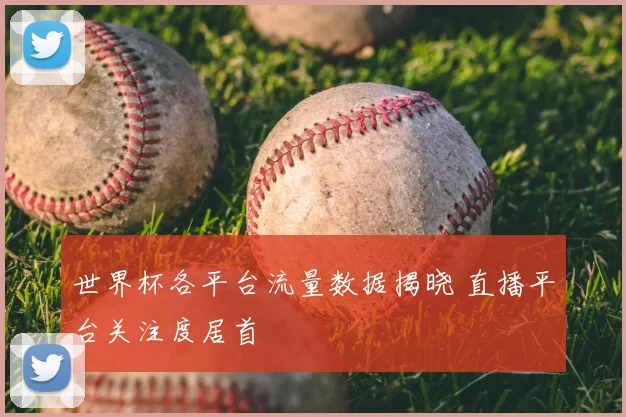 世界杯各平台流量数据揭晓 直播平台关注度居首