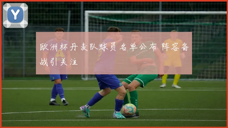 欧洲杯丹麦队球员名单公布 阵容备战引关注